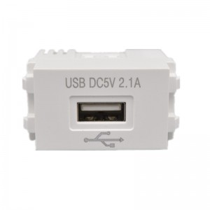 Nhân USB DC 5V 2.1A sạc điện thoại lắp âm tường, âm sàn